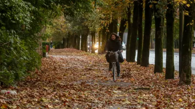 ﻿- 05.11.2019 – vremenska slika – jesen - močan veter in deževje v Ljubljani – vreme - jesensko listje - kolesarka –  //FOTO: Luka Cjuha.