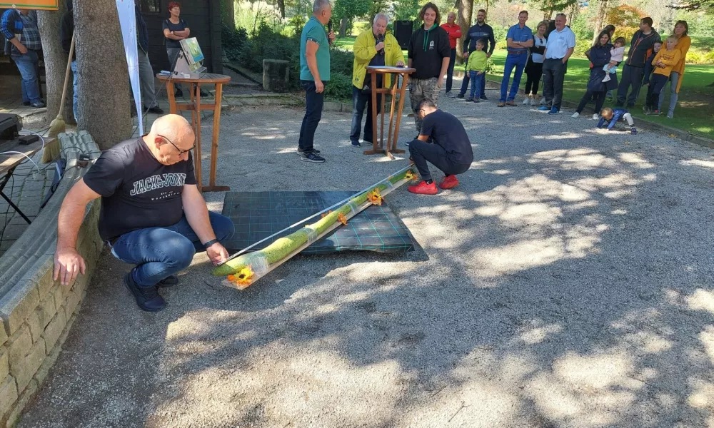 Merjenje najdaljše buče. F Maja Horvat