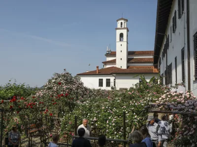 - 13.05.2022 – Nova Gorica - Frančiškanski samostan Kostanjevica – vrtnice Burbonke - zbirka historičnih vrtnic burbonk, ki je ena najpopolnejših in največjih zbirk vrtnic iz skupine burbonk na svetu - nasad //FOTO: Luka Cjuha