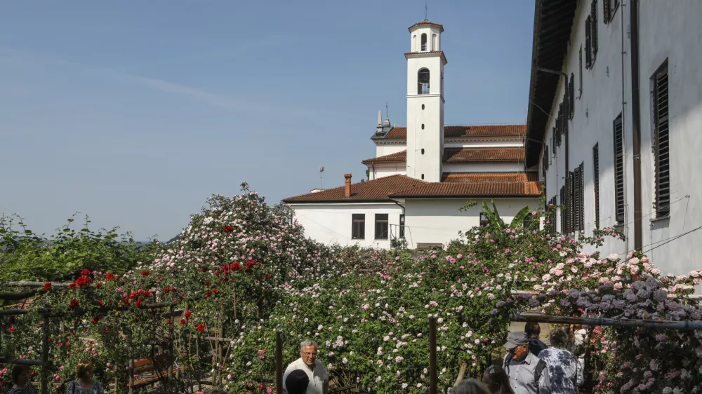 - 13.05.2022 – Nova Gorica - Frančiškanski samostan Kostanjevica – vrtnice Burbonke - zbirka historičnih vrtnic burbonk, ki je ena najpopolnejših in največjih zbirk vrtnic iz skupine burbonk na svetu - nasad //FOTO: Luka Cjuha