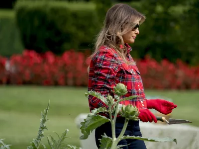 FILE - First lady Melania Trump participates in an harvesting and planting event with the Boys and Girls Club of Washington in the White House Kitchen Garden on the South Lawn of the White House, Sept. 22, 2017, in Washington. (AP Photo/Andrew Harnik, File)