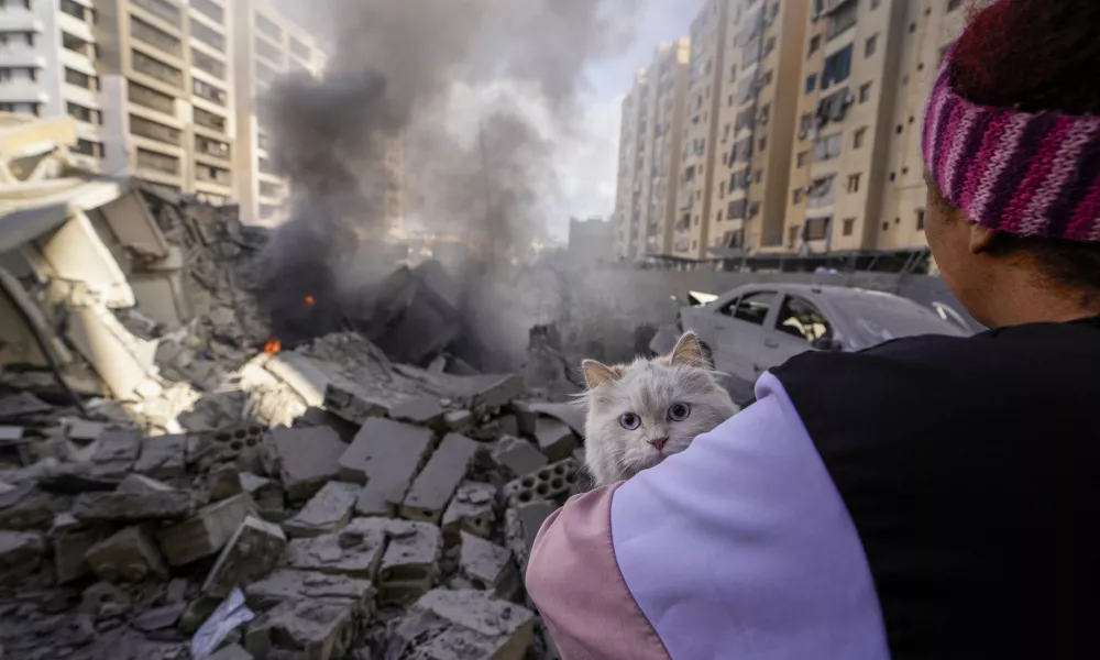 A woman holds her cat at the site of an Israeli airstrike in Dahiyeh, Beirut, Lebanon, Wednesday, Oct. 2, 2024. (AP Photo/Hassan Ammar)