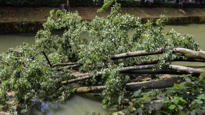 ﻿- podrto drevo – parkirišče Petkovškovo nabrežje - 07.07.2020 – nočno neurje v Ljubljani - nevihte z močnimi nalivi in sunki vetra - voda je zalila več podvozov, močan veter pa je podiral drevje in odkrival strehe //FOTO: Bojan Velikonja