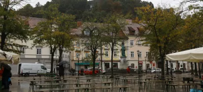 Ljubljanska občina bo predstavila, kakšne načrte ima z drevesi na zahodnem pobočju grajskega griča. Foto: Luka Cjuha