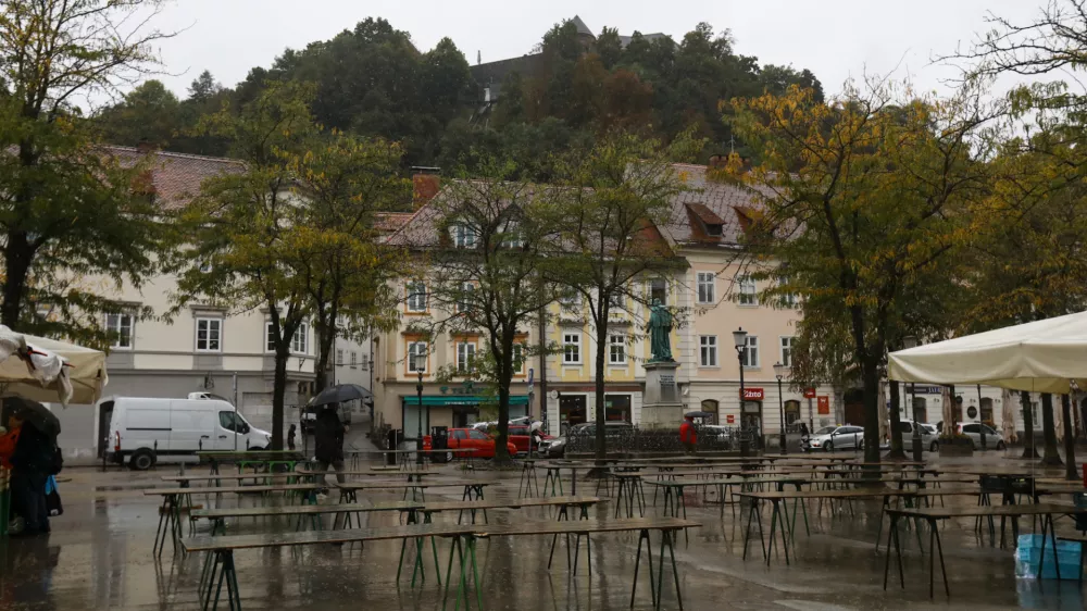 Ljubljanska občina bo predstavila, kakšne načrte ima z drevesi na zahodnem pobočju grajskega griča. Foto: Luka Cjuha