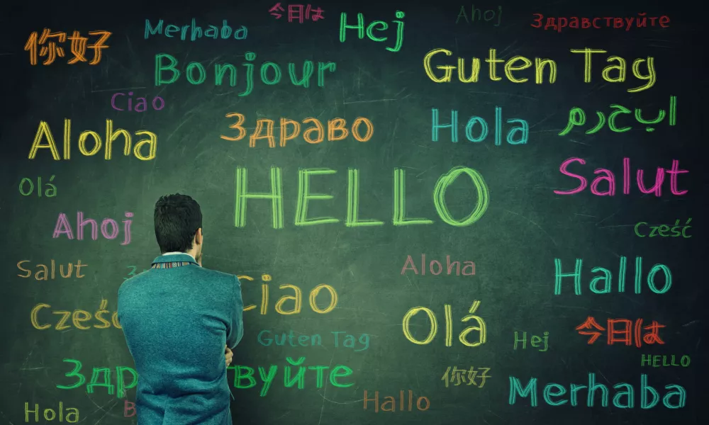 Rear view of a puzzled businessman in front of a huge chalkboard written with the word hallo in different languages and colors. Opportunity for learning many languages for students. / Foto: Bulat Silvia