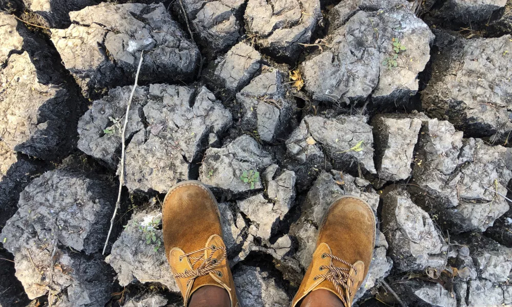 File — A man stands in a sun-baked dried up watering hole in Mana Pools National Park, Zimbabwe. Sunday, Oct. 27, 2019, as the United Nations' food agency says months of drought in southern Africa, triggered by the El Nino weather phenomenon, has had a devastating impact on more than 27 million people and caused the region's worst hunger crisis in decades..(AP Photo/Tsvangirayi Mukwazhi/File) / Foto: Tsvangirayi Mukwazhi