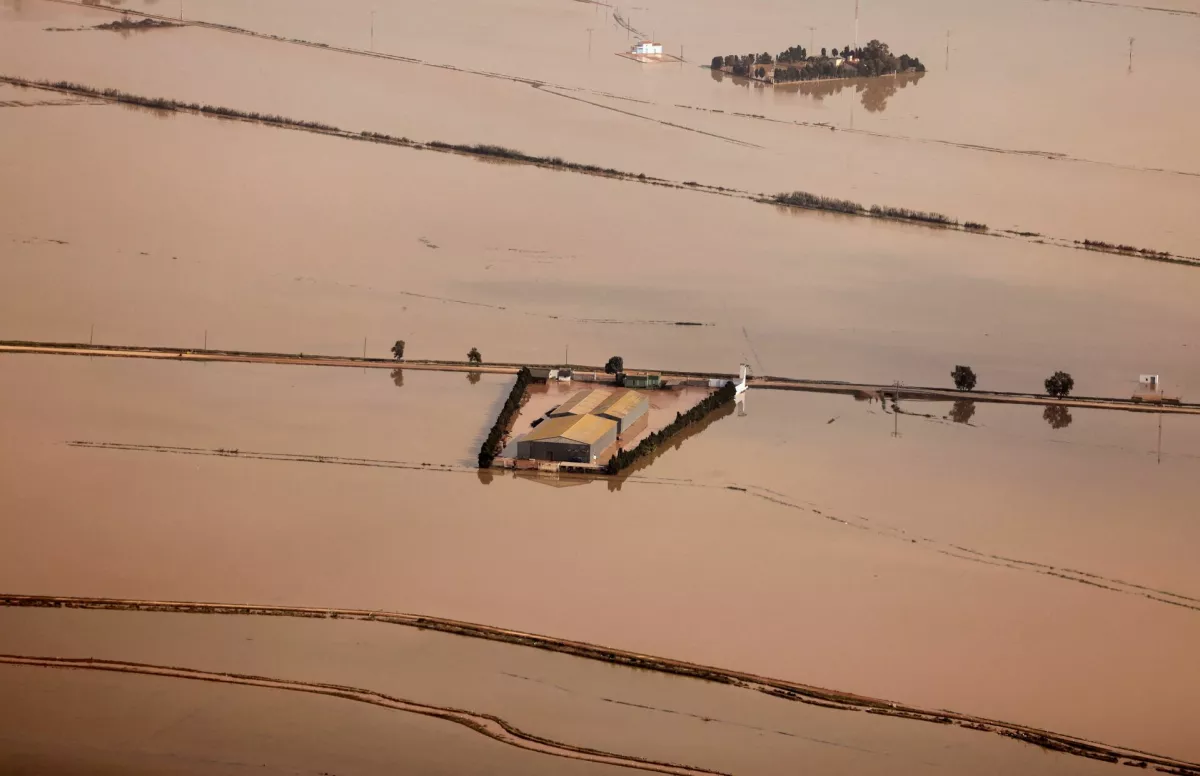 FILE PHOTO: A view shows destroyed Albufera rice fields in an area affected by heavy rains that caused flooding near Valencia, Spain, October 31, 2024. REUTERS/Nacho Doce/File Photo