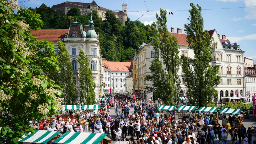 Organizatorji festivala napovedujejo izjemno bogat festival, na katerem pričakujejo več kot 110 vinarjev vseh vinorodnih dežel Slovenije. 