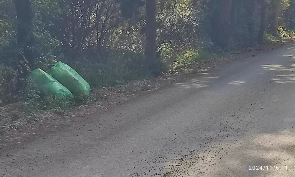 Ob cesti, ki vodi proti zalivu Kalavojna v Rajklju, je domačin našel slovenske vrečke za smeti.