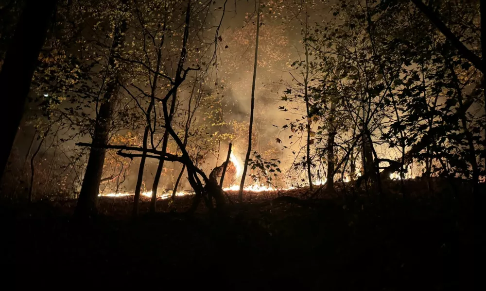 Smoke billows from a fire at Prospect Park, New York City, New York, U.S., November 8, 2024, in this picture obtained from social media. Michelle Paggi, Ph.D./via REUTERS THIS IMAGE HAS BEEN SUPPLIED BY A THIRD PARTY. MANDATORY CREDIT. NO RESALES. NO ARCHIVES.