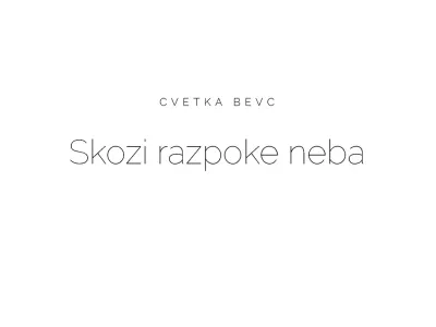 Cvetka Bevc Skozi razpoke sveta