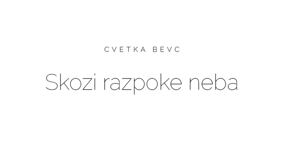 Cvetka Bevc Skozi razpoke sveta