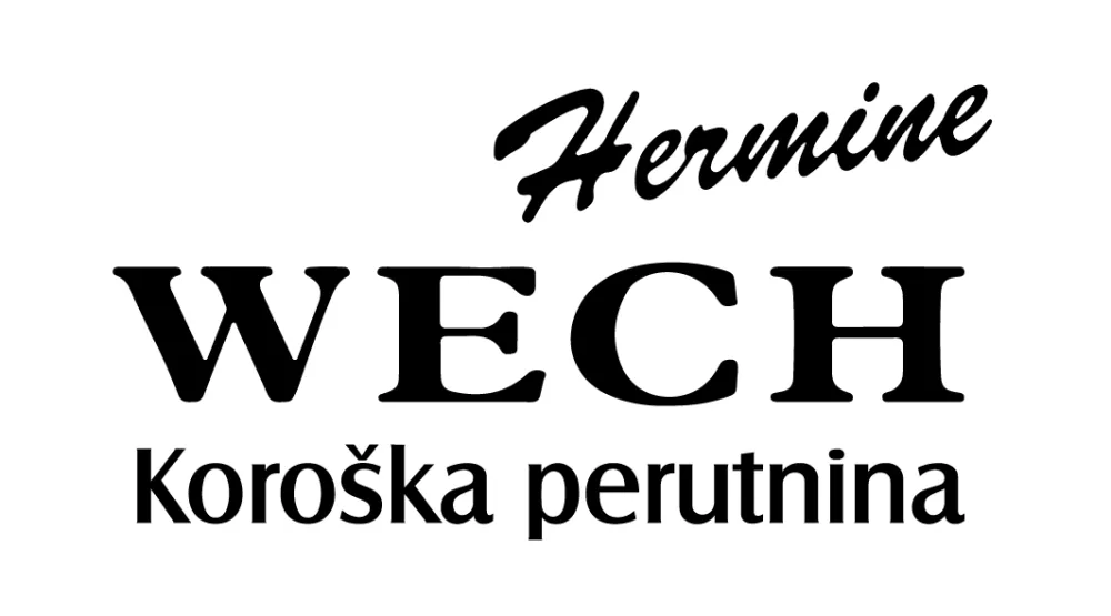 Sedež podjetja:Gačnikova pot 2SI - 2390 Ravne na KoroškemT: +386 2 821 88 70W: https://www.wech.at/E: trgovina-ravne@wech.si / Foto: Infografika