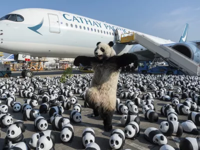 A panda mascot poses for photographs in front of the panda sculptures displayed at the Hong Kong International Airport during the welcome ceremony of the panda-themed exhibition "Panda Go!" in Hong Kong, Monday, Dec. 2, 2024. (AP Photo/Chan Long Hei)