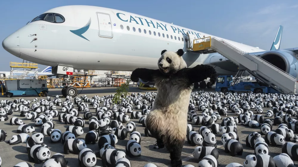 A panda mascot poses for photographs in front of the panda sculptures displayed at the Hong Kong International Airport during the welcome ceremony of the panda-themed exhibition "Panda Go!" in Hong Kong, Monday, Dec. 2, 2024. (AP Photo/Chan Long Hei)