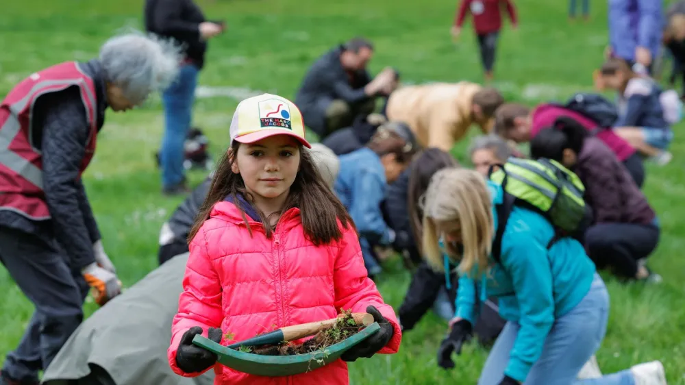 Volunteers plant native wild plug plants to promote 'The Big Help Out' in Green Park, London, Britain, May 8, 2023. REUTERS/Piroschka Van De Wouw