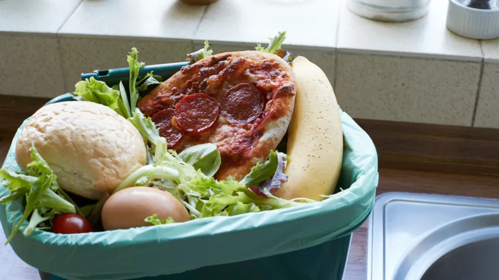 ﻿Fresh Food Waste In Recycling Bin At Home