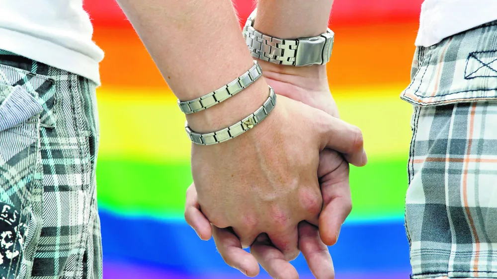 ﻿FILE - The July 16, 2011 file photo shows two homosexual men holding hands during Christopher Street Day in Weimar, eastern Germany. Germany's highest court ruled Tuesday, Feb. 19, 2013 that strengthens gay couples' adoption rights.Germany has allowed same-sex couples to register civil partnerships that legally fall short of formal marriage since 2001. Until now, it allowed people to adopt a same-sex partner's biological child _ but not that partner's adopted child or stepchild. (AP Photo/dpa, Michael Reichel)