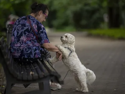 A woman plays with a dog in Bucharest, Romania, Saturday, July 8, 2023. (AP Photo/Vadim Ghirda)