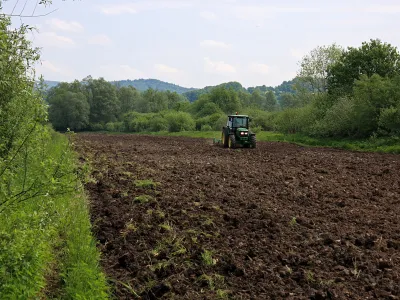 kmetijstvo, njiva, zaraščenost, traktor. Foto: Irena Jurečič 