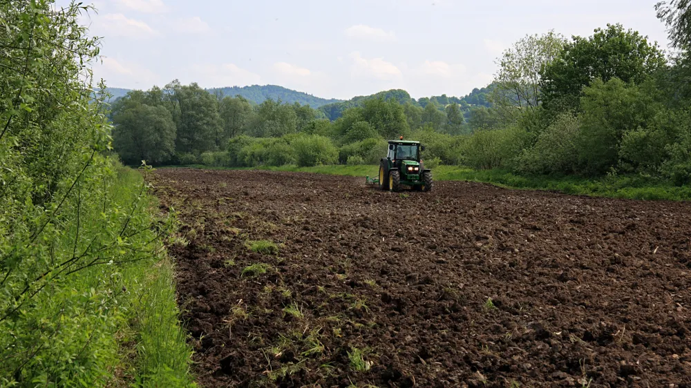 kmetijstvo, njiva, zaraščenost, traktor. Foto: Irena Jurečič 