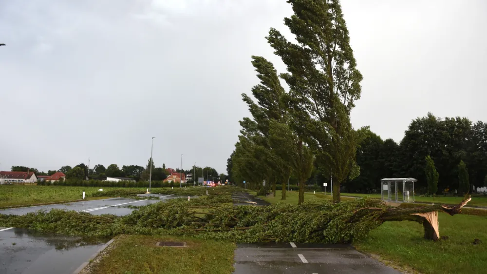 Slovenija, Murska Sobota, 13.07.2023, 13.Julij 2023<br>Neurje v Murski soboti, narava, dogodek, vreme, veter, drevo, streha, naravna nesreča<br>Foto:Tadej Kirincic/Sobotainfo/Bobo<br>