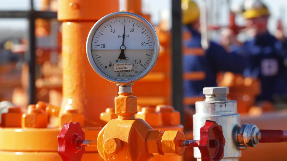 Engineers chat as they check the gas distribution system in Kiskundorozsma, 170 kilometres south of Budapest, January 15, 2015. Hungary's FGSZ Gas distribution company routes Russian gas toward Serbia here. The company owns and operates the high pressure natural gas transmission system of Hungary. Apart from the domestic natural gas transmission FGSZ exercises transit activity for Serbia and Bosnia and Herzegovina as well. It transfers gas for Romania and Croatia, and established the possibility of gas transmission towards Ukraine. REUTERS/Laszlo Balogh (HUNGARY - Tags: ENERGY)