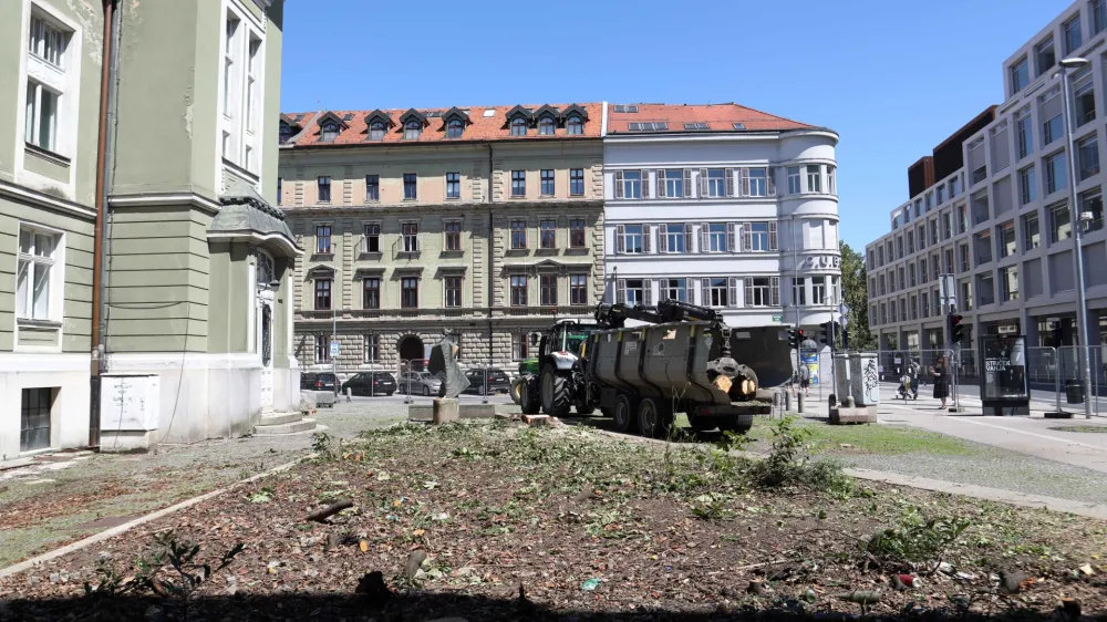 - 27.07.2023 - posek kostanja zaradi načrtovane obnove SNG Drama – drevo kostanj - podiranje//FOTO: Tomaž Skale