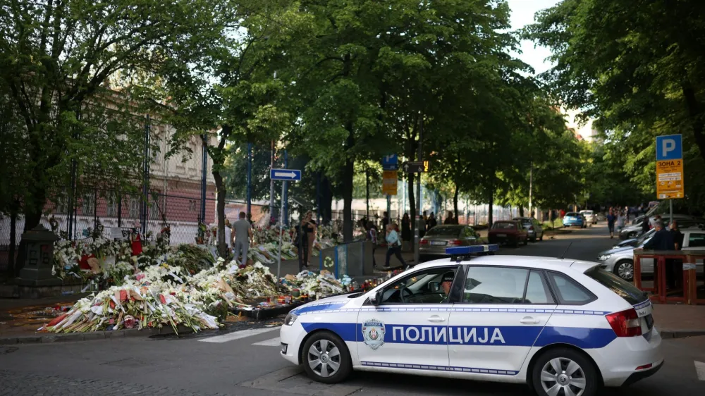 V začetku maja je na osnovni šoli v Beogradu takrat še 13-letni fant ubil osem učencev in varnostnika.