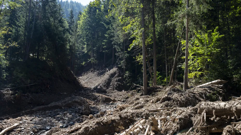 »Da je eden od domačinov očistil zadrževalnik, za katerim je bilo 1200 kubičnih metrov materiala, smo mu plačali pet tisoč evrov. Ker se zavedajo, kakšne težave lahko povzročijo hudourniki, nekaj manjših pregrad čistijo kar občani sami, s svojo mehanizacijo,« je pojasnil župan občine Železniki Marko Gasser. Fotografija je simbolična.