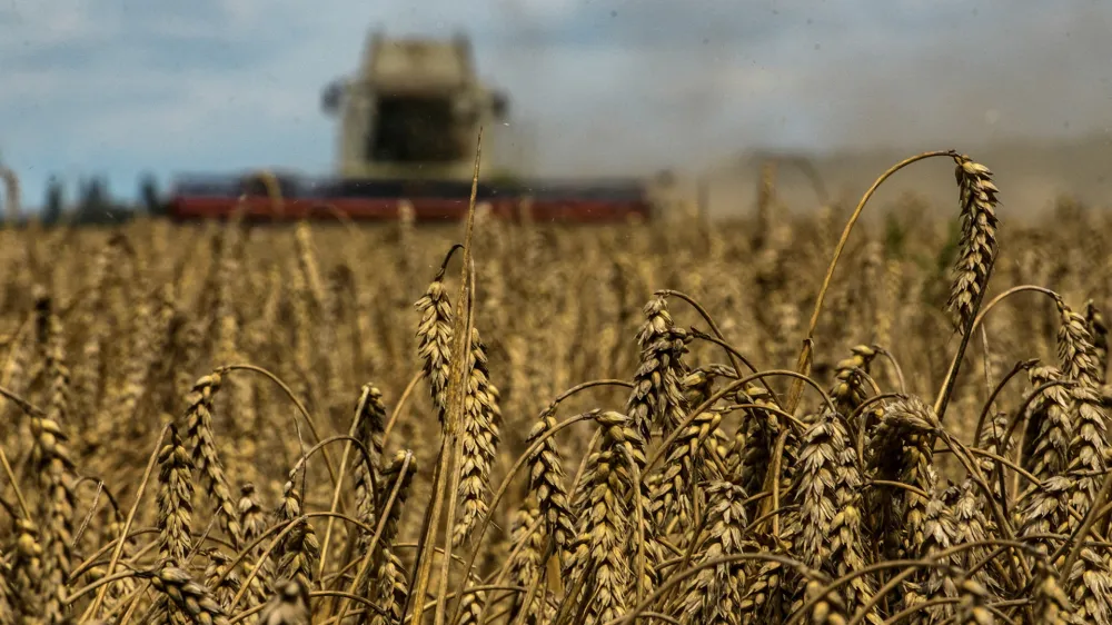 FILE PHOTO: A combine harvests wheat in a field near the village of Zghurivka, amid Russia's attack on Ukraine, in Kyiv region, Ukraine August 9, 2022. REUTERS/Viacheslav Musiienko/File Photo