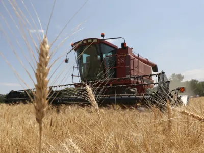 FILE PHOTO: A combine harvests wheat in a field in Almaty Region, Kazakhstan July 14, 2021. REUTERS/Pavel Mikheyev/File Photo