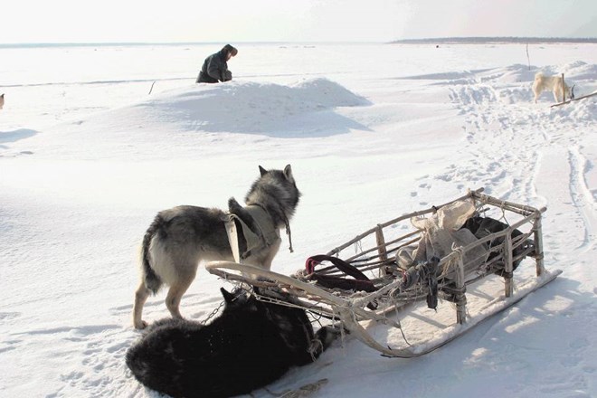 Na programu bo tudi Herzogov dokumentarec Srečni ljudje v tajgi (2011), študija življenja lovcev v sibirski tajgi.