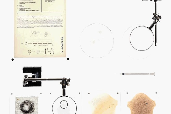 Prijava patenta za proces izdelave človeškega usnja iz McQueenovega  DNK in snop njegovih las