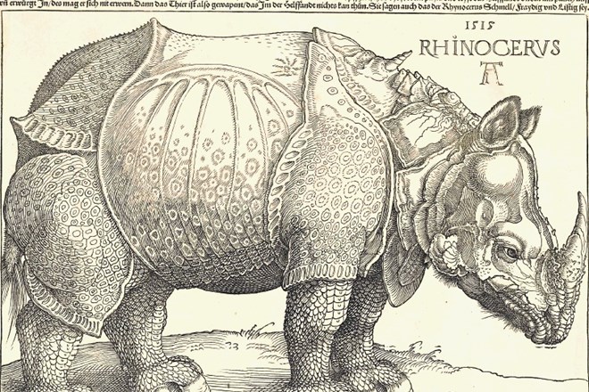 Albrecht Dürer je znameniti lesorez nosoroga leta 1515 izdelal zgolj na podlagi opisov živali.