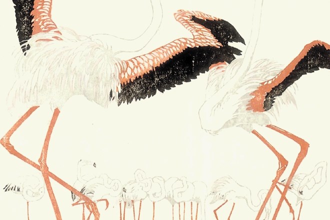 Ludwig Heinrich Jungnickel: Flamingi, barvni lesorez, 1909
