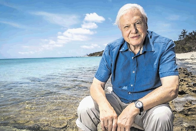Modri planet 2 bo tako kot vse večje naravoslovne oddaje BBC vodil sir David Attenborough.