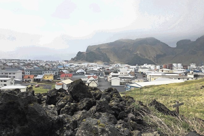 Otok Vestmannaeyjar na jugu Islandije  je privlačen za ljubitelje ptic. Tam so tudi mormoni, ki so videti kot križanci med...