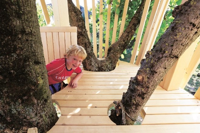 Lesena preobrazba: domači drevesni park kot spodbuda za gibanje otrok