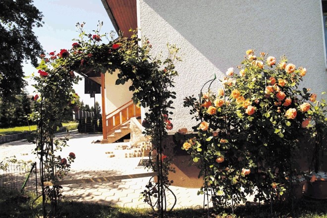 Pergolo, ki predstavlja vhod v vrt, krasi cvetoča vrtnica.