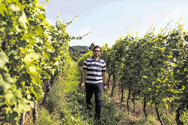 Rok Opara: Treba je vedeti, da je cviček vino, ki se ga lahko proda le v Sloveniji. V tujino ga ne moreš prodati.
