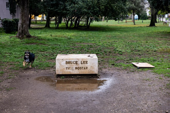 #foto Kraja kipa Brucea Leeja: tat obsojen na deset mesecev zapora