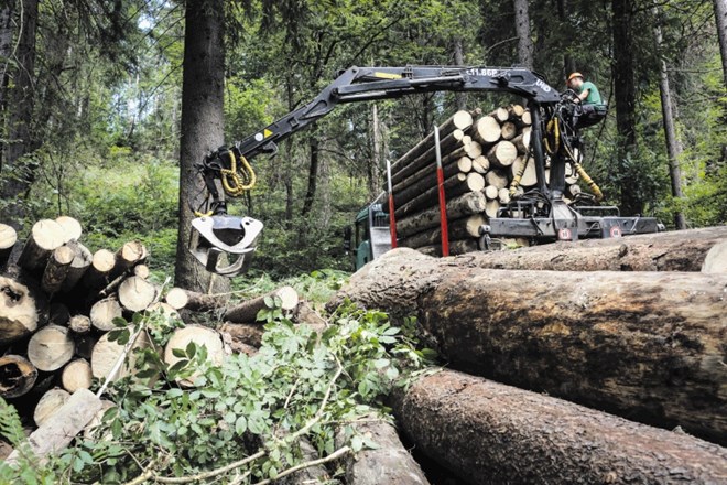 Večina  gozdarjev, lesarjev in žagarjev, ki dobro poznajo razmere na  trgu, trdi, da gre od ustanovitve SiDG  v Avstrijo še...