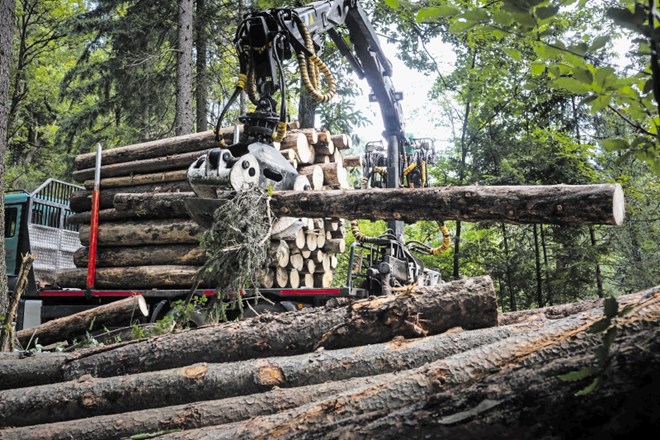 V gozdno-lesnih centrih  bi les sortirali, žagali, sušili in manj kakovosten les po možnosti predelovali, delovati pa naj bi...