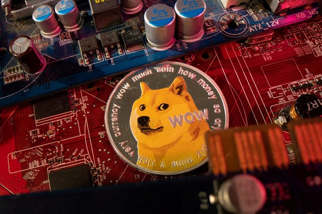 Poginil slavni pes, ki krasi virtualne kovance dogecoin
