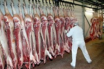 Nekaj nemške svinjine, okužene z dioksinom, so verjetno prodali, kupci pa verjetno pojedli