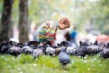 Od sredine avgusta bo v Ljubljani prepovedano hraniti živali na javnih površinah