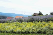 Z Dnevnikom na izlet v hrvaško Zagorje: Sprostite se, saj ste si zaslužili