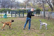 Vi vprašate, mi poiščemo odgovor: Občina načrtuje nove pasje parke